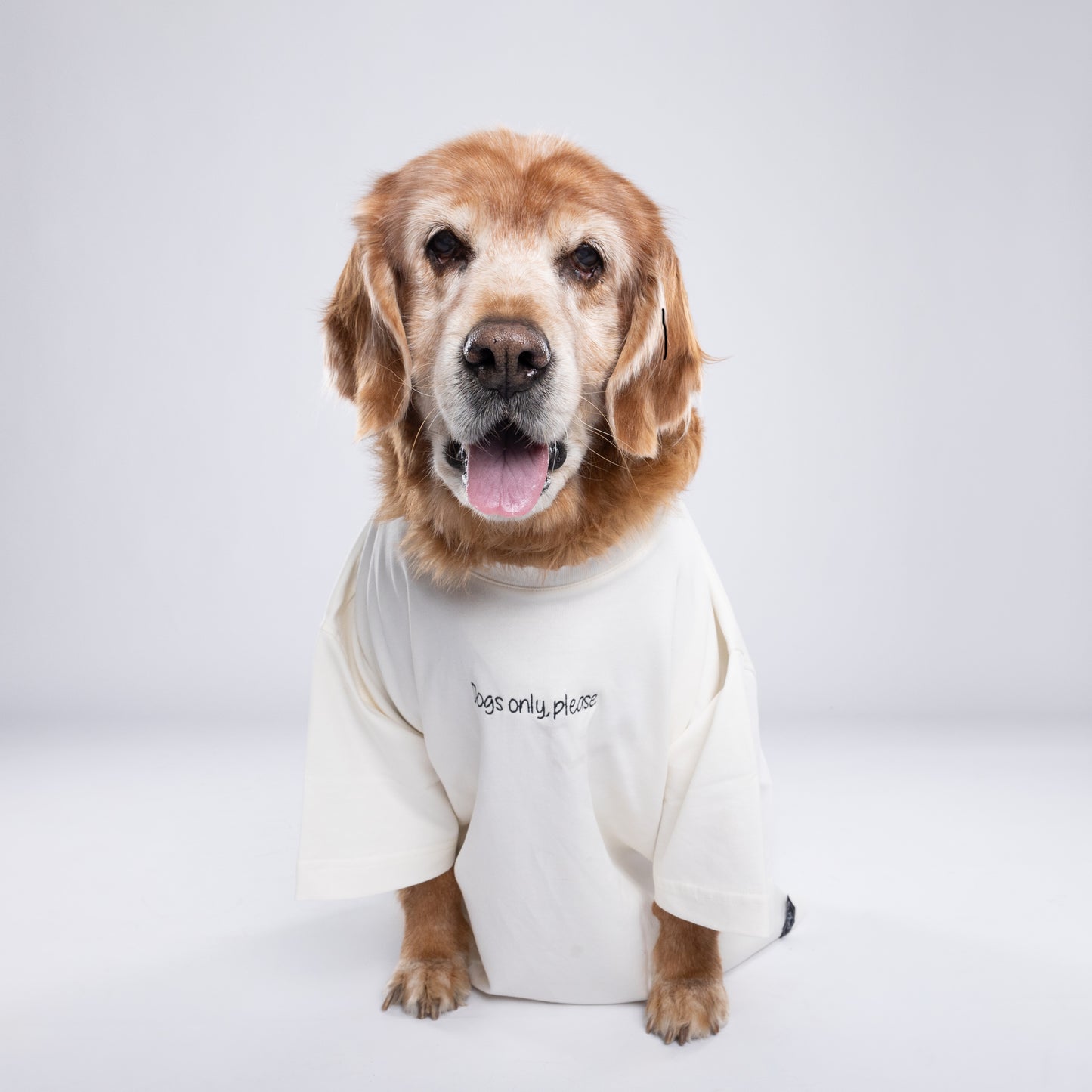 Dogs only, please - Tee