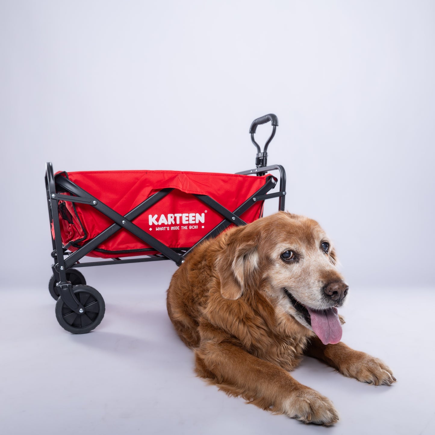 KARTEEN Wagon