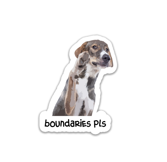 "Boundaries pls" Sticker