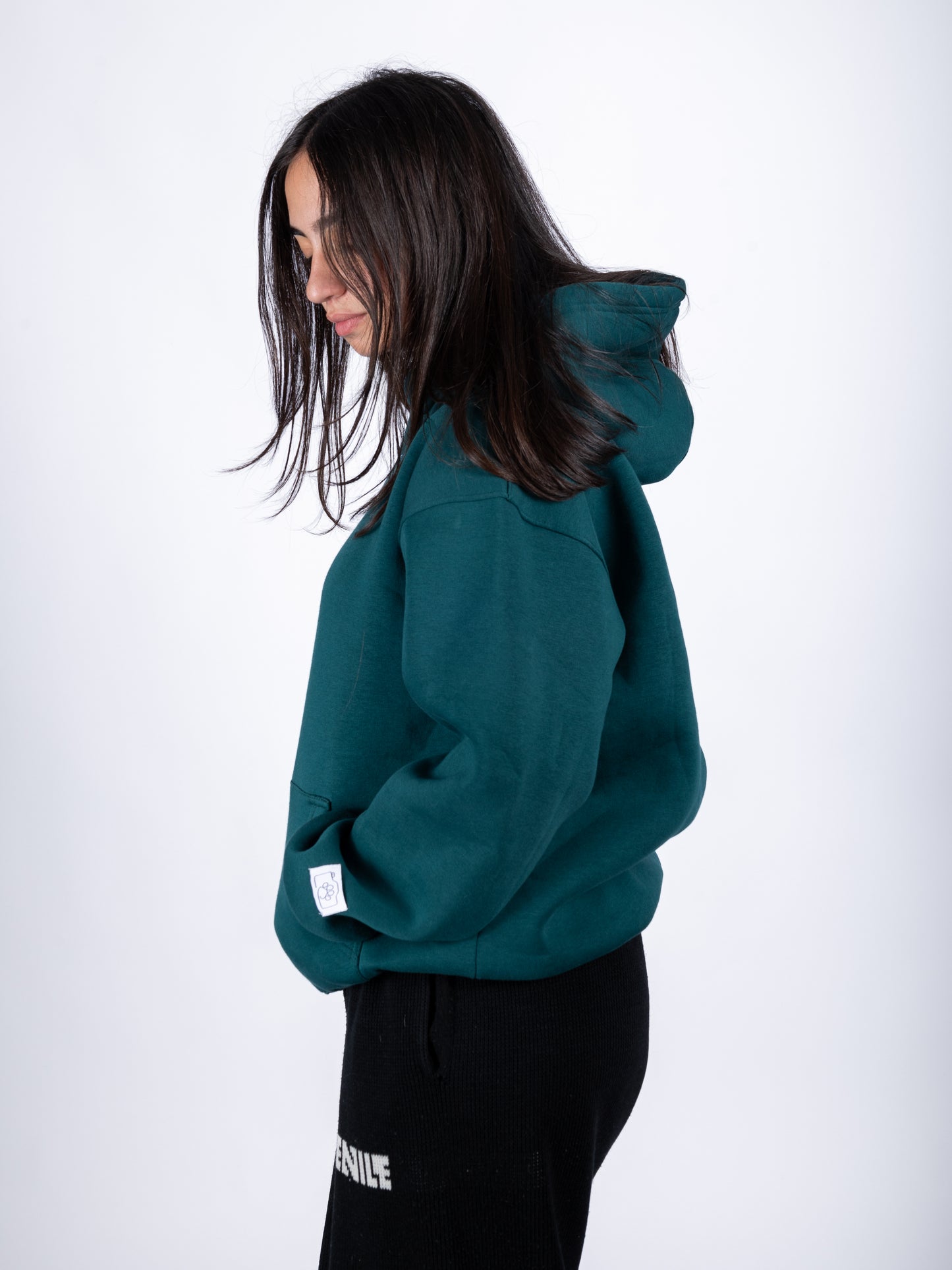 "Dogs only, please" Paw Hoodie Teal Green
