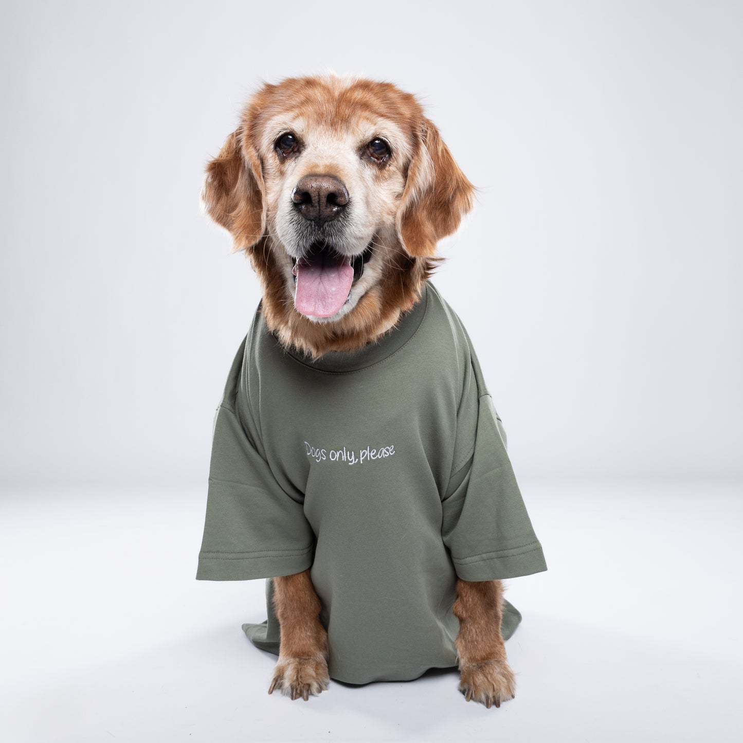 Dogs only Tee Olive